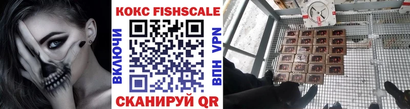 Кокаин Fish Scale  хочу наркоту  MEGA как зайти  Нижняя Салда 