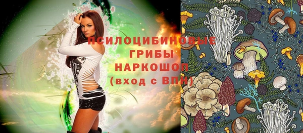 соль курить ск Арсеньев