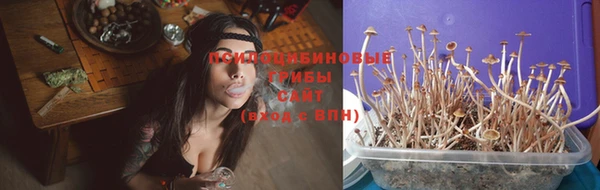 соль курить ск Арсеньев