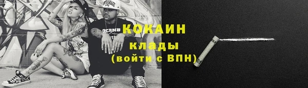 бошки Аркадак