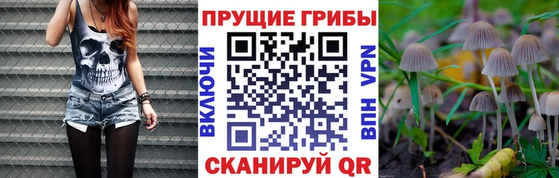 Псилоцибиновые грибы прущие грибы Нижняя Салда